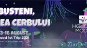 Weekend special la Bușteni 13-15 August 2021