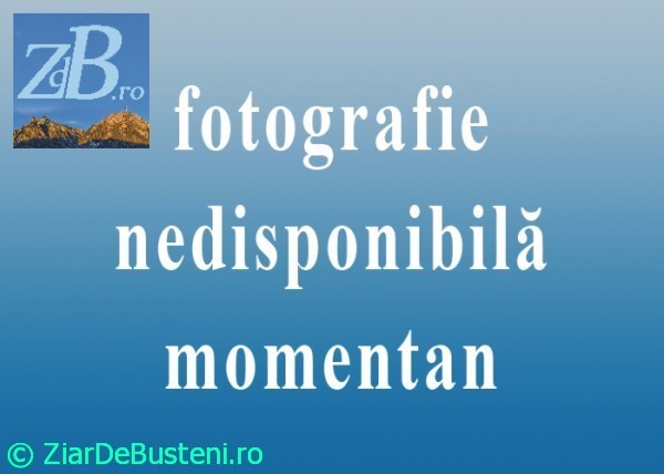 nofoto