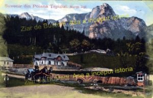 00018poianatapului