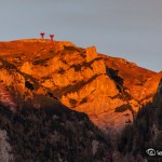 dimineatabusteni05