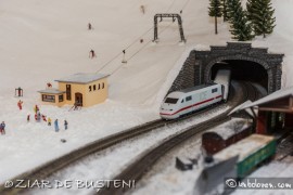 trb02