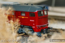 trb07