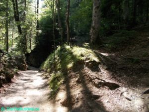DSCN0315
