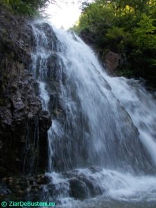 DSCN0313