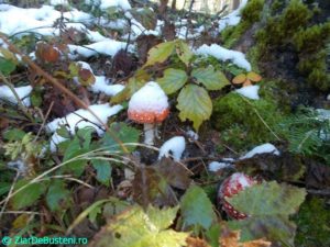 DSCN3097