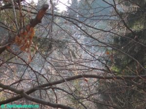 DSCN3274