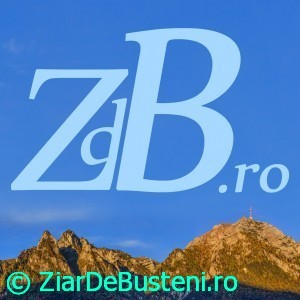 zdb_15x15cm_2-300x30028