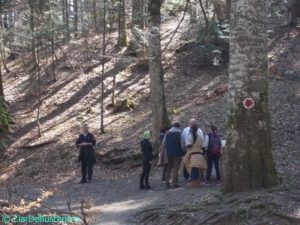 DSCN3840