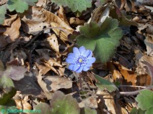 DSCN3847