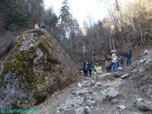 DSCN3849
