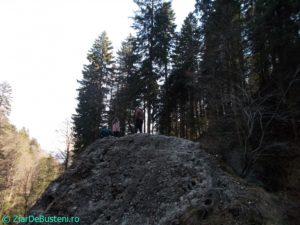 DSCN3853