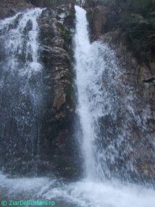 DSCN3855