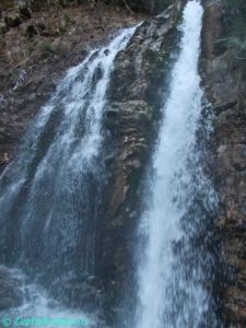 DSCN3857