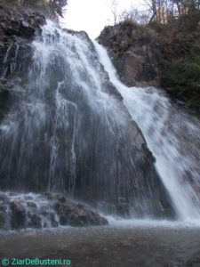 DSCN3860