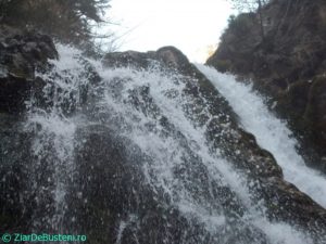 DSCN3862