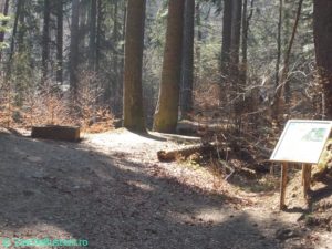 DSCN3871