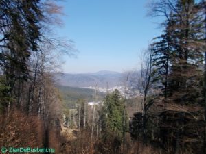 DSCN3879