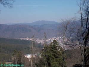 DSCN3880